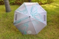 Cheap Auto Open Windproof Promotional Custom Stick Umbrella