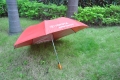 Chinese wooden handle red 2 fold umbrella