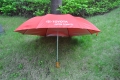 Chinese wooden handle red 2 fold umbrella