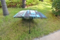 Hot Selling Promotion Heat Transfer Printing Stick Umbrella