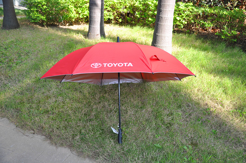 Chinese Umbrella