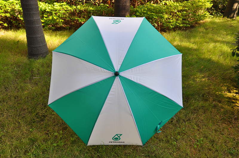 Auto Umbrella
