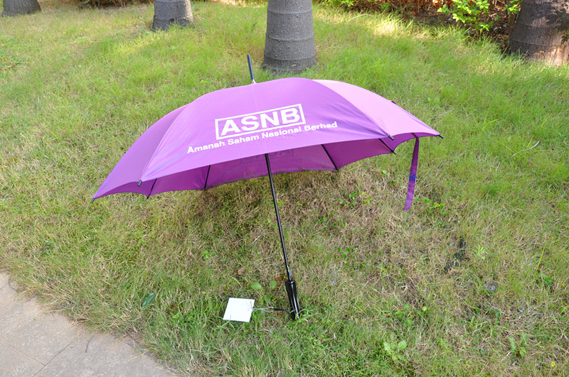 New Design Umbrella
