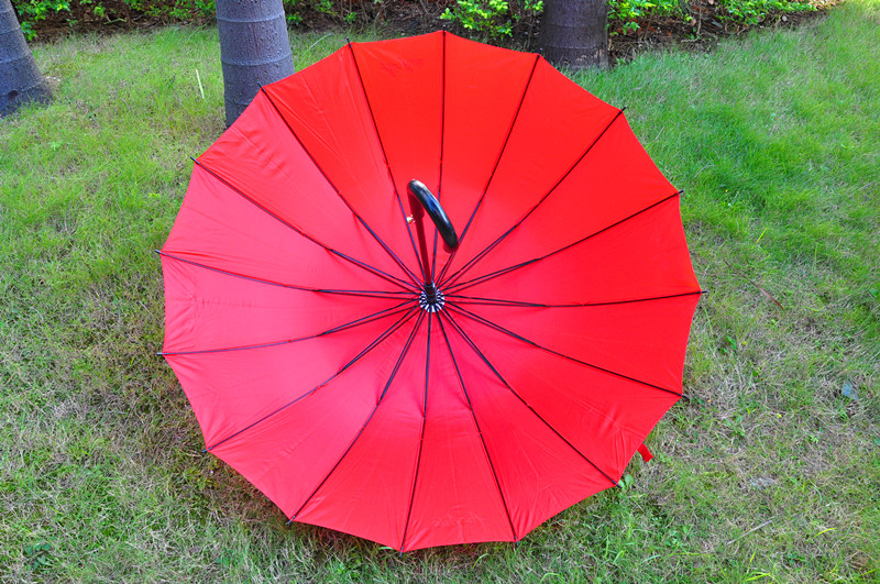 16 Rib Umbrella