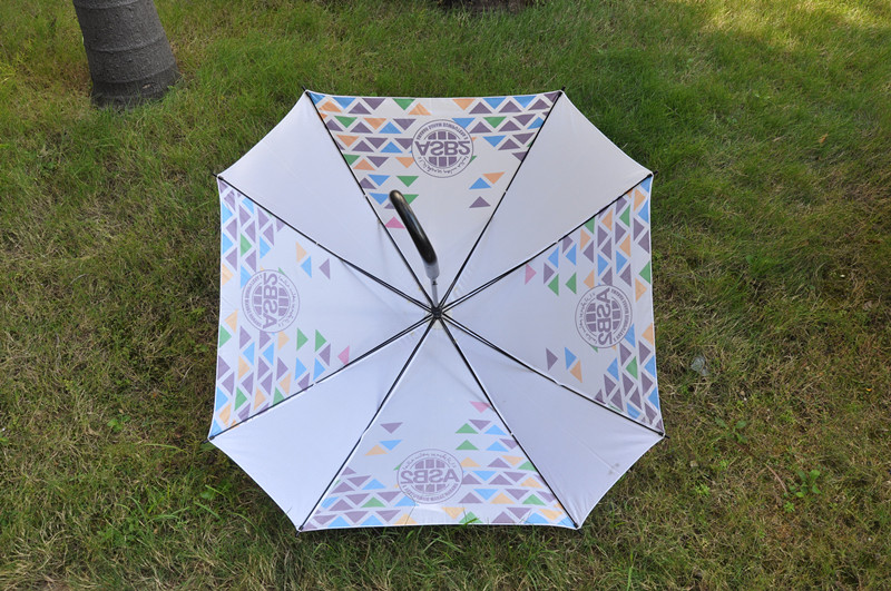 Novel Of Umbrella The Umbrellas