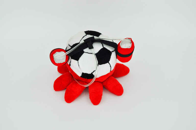 Custom Plush Toy