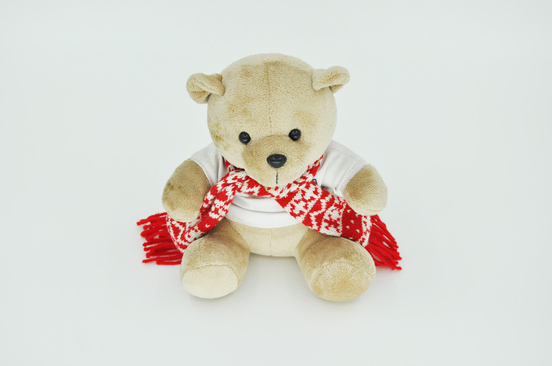 Teddy Bear Plush Toy