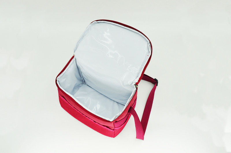 Insulated Cooler Bag