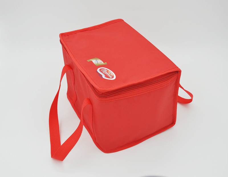 Aluminium Foil Cooler Bag