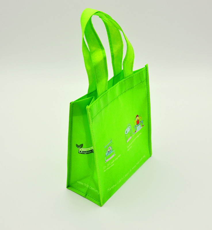 Reusable Shopping Bag