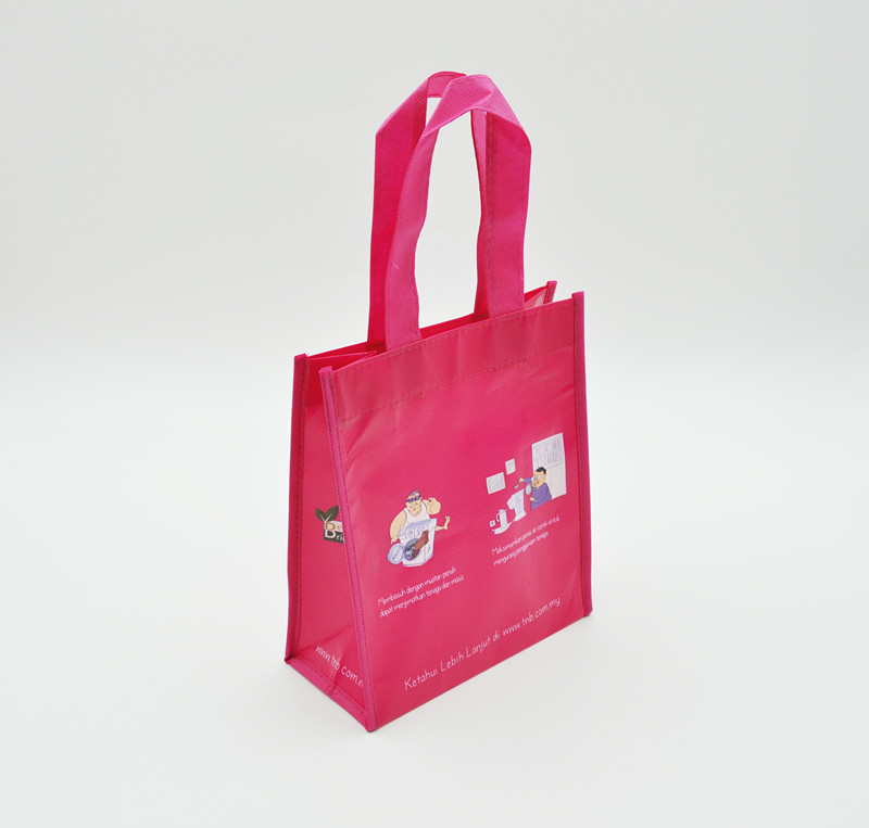 Reusable Shopping Bag