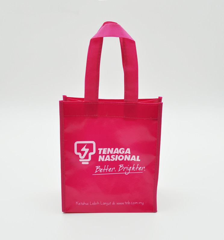 Reusable Shopping Bag