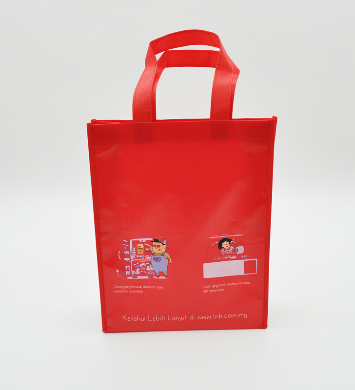 Reusable Shopping Bag