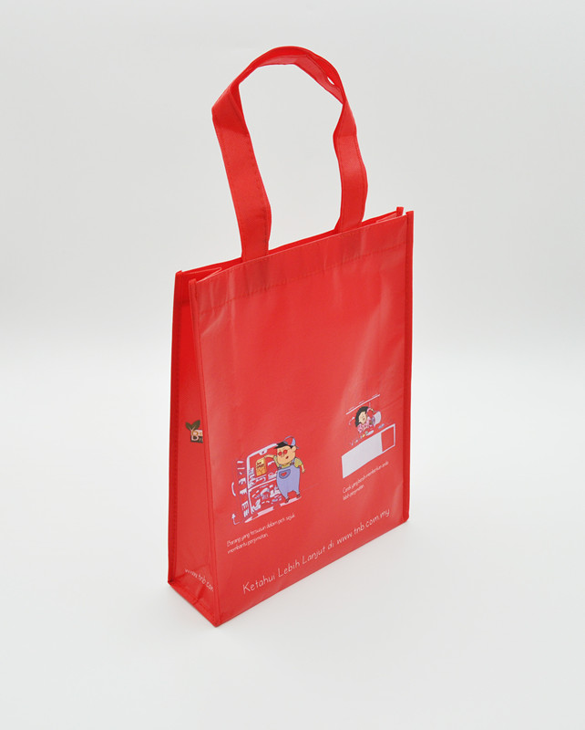 Reusable Shopping Bag