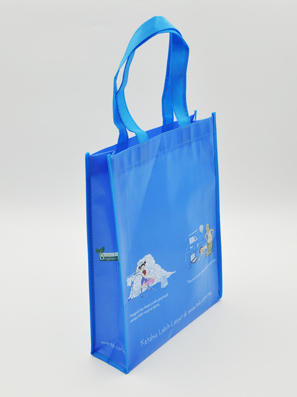 Reusable Shopping Bag
