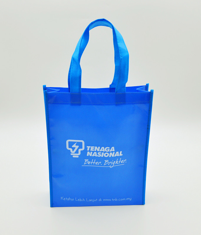 Reusable Shopping Bag