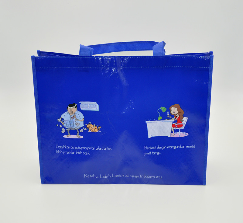 Large Shopping Bag