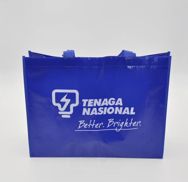 Large Shopping Bag