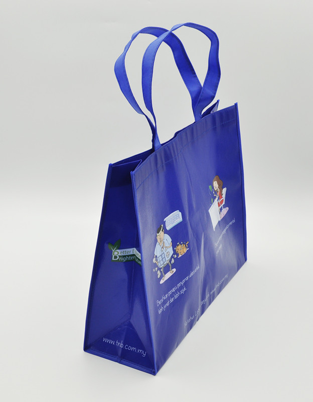 Large Shopping Bag