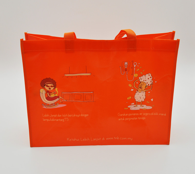 Large Shopping Bag