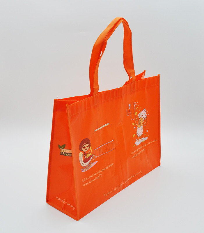 Large Shopping Bag