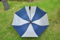 Top Quality Advertising Auto Open Two Folding Umbrella
