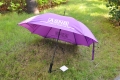 New Arrival Durable Promotional Custom Square Shaped Stick Umbrella