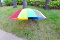 Novelty Promotion 30