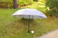 Cheap Auto Open Windproof Promotional Custom Stick Umbrella