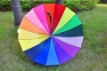 Novelty Promotion 30