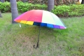 Novelty Promotion 30