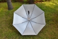 Cheap Auto Open Windproof Promotional Custom Stick Umbrella