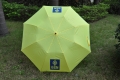 Hot sales personalized large umbrellas for sun protection